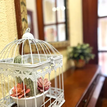 Apartment Golondrinas